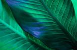 BV AMONG THE TOP-PERFORMING COMPANIES IN THE DOW JONES SUSTAINABILITY INDICES 