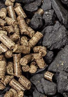 Coal Coke and Biomass